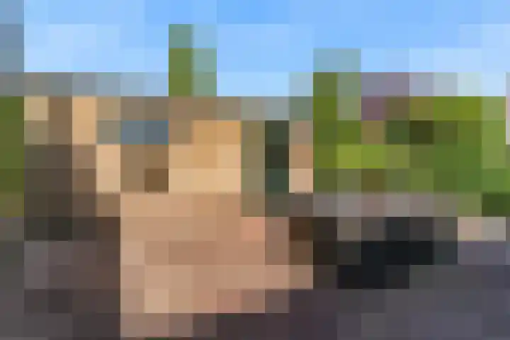 Kerkweg 35 Limmen thumbnail 43