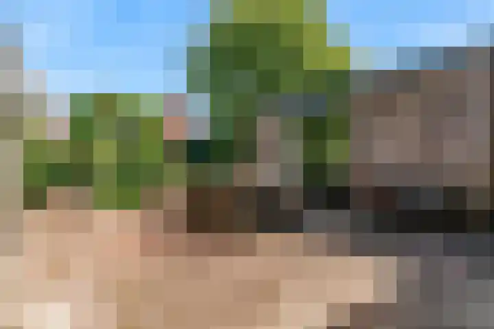 Kerkweg 35 Limmen thumbnail 44