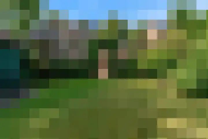 Kerkweg 35 Limmen thumbnail 46