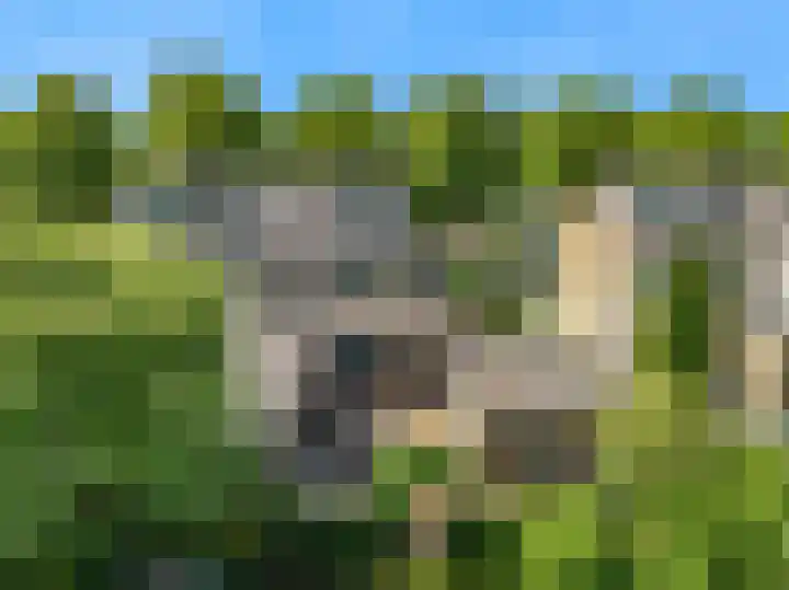 Kerkweg 35 Limmen thumbnail 48