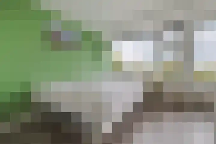 Kerkweg 37 Ter Aar thumbnail 14