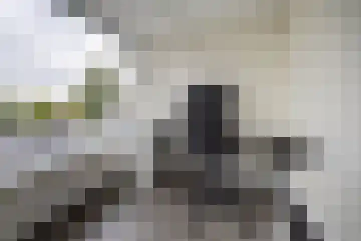 Kerkweg 37 Ter Aar thumbnail 15