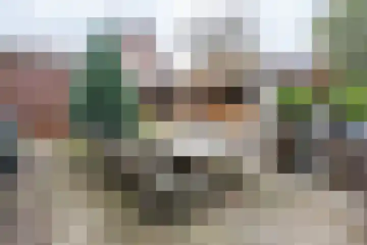 Kerkweg 37 Ter Aar thumbnail 20