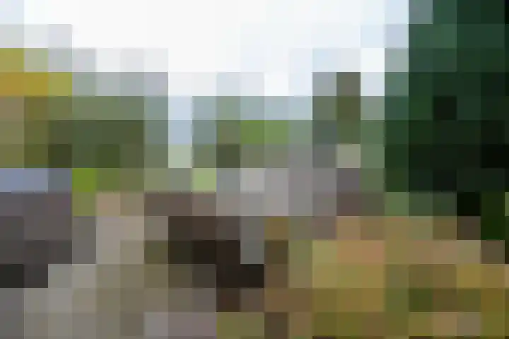 Kerkweg 37 Ter Aar thumbnail 21