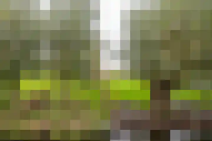 Kerkweg 37 Ter Aar thumbnail 23