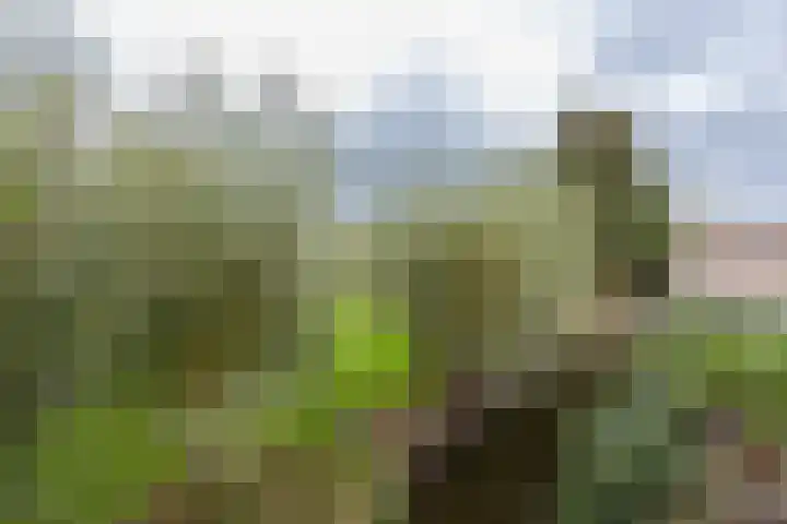Kerkweg 37 Ter Aar thumbnail 24