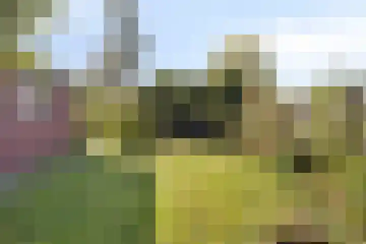 Kerkweg 38 Afferden thumbnail 29