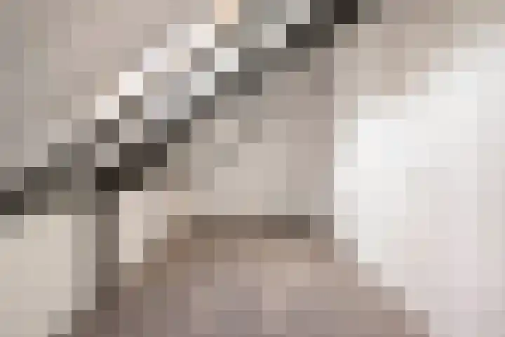 Kerkweg 5 e Hulsel thumbnail 30