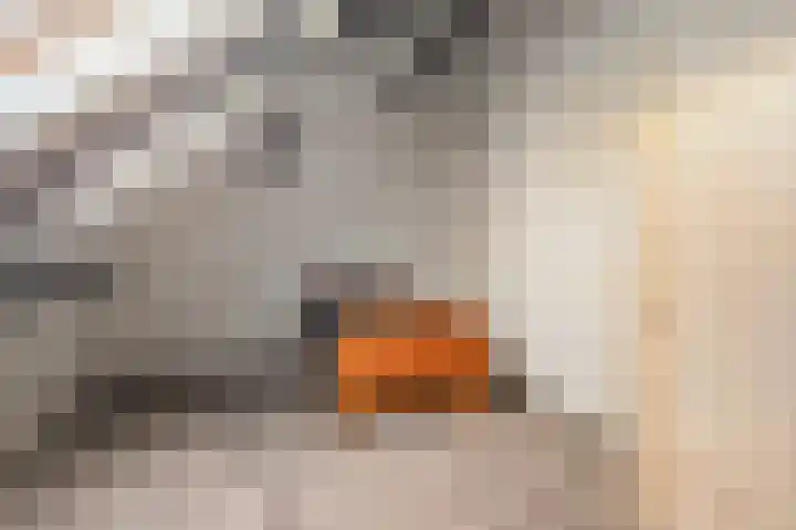 Kerkweg 5 e Hulsel thumbnail 32
