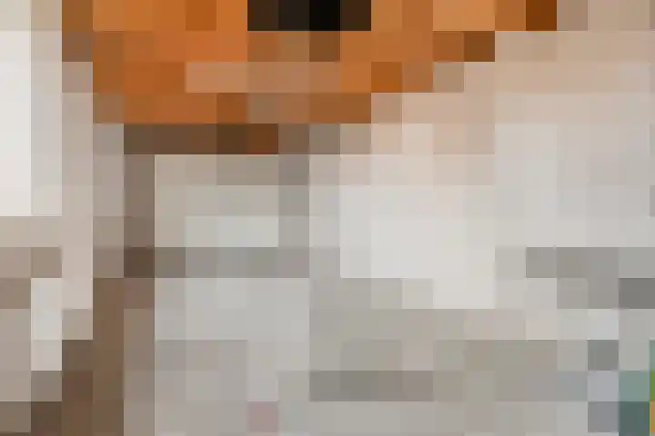 Kerkweg 5 e Hulsel thumbnail 36
