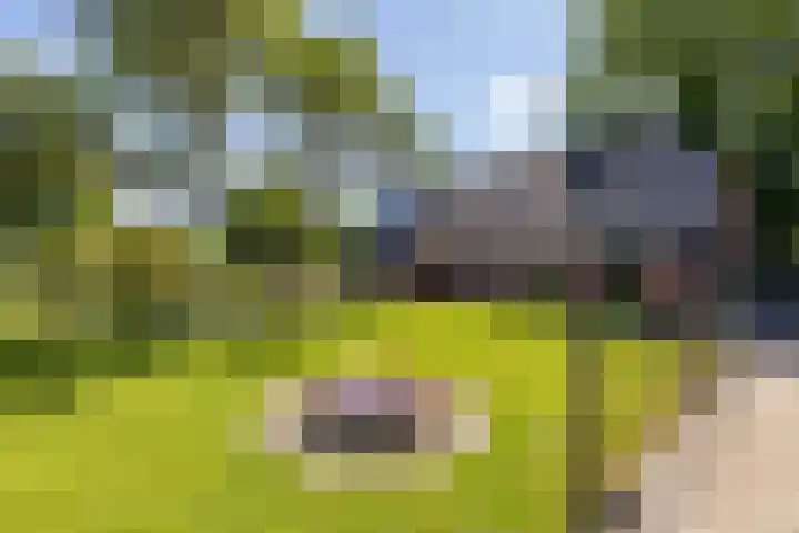 Kerkweg 5 Yde thumbnail 11