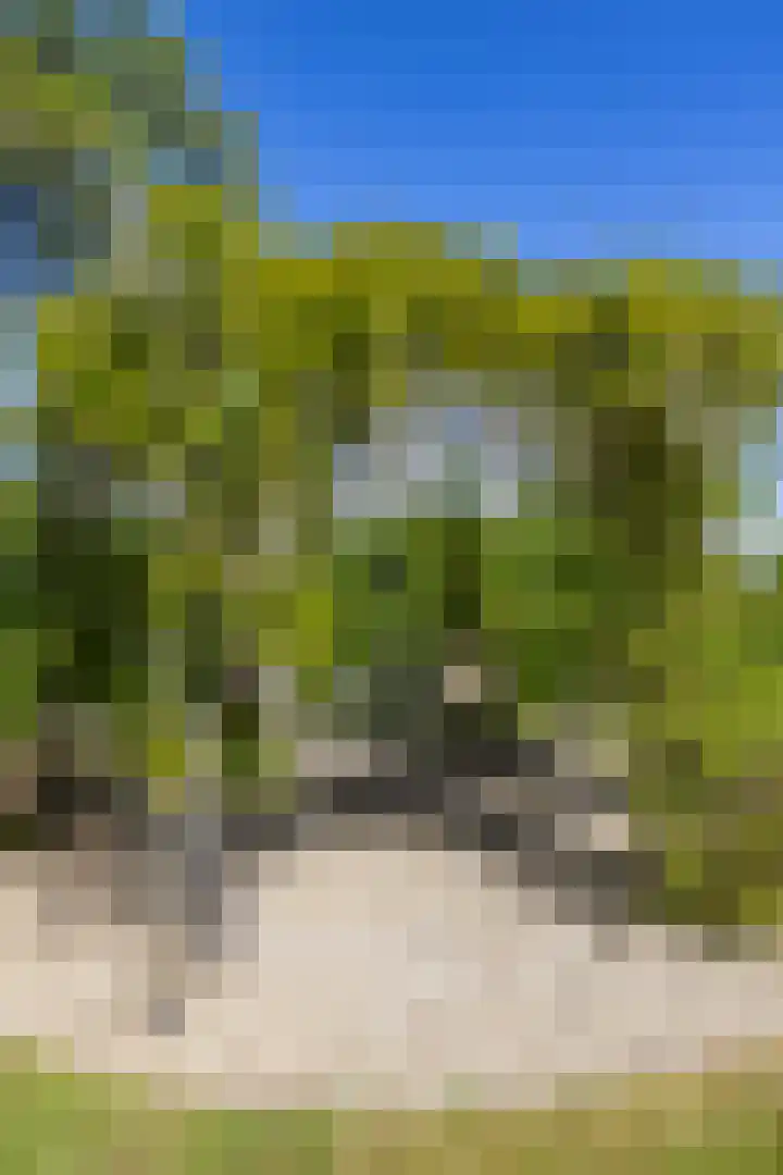 Kerkweg 5 Yde thumbnail 13
