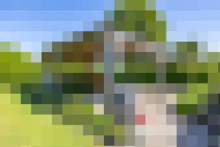 Kerkweg 5 Yde thumbnail 14