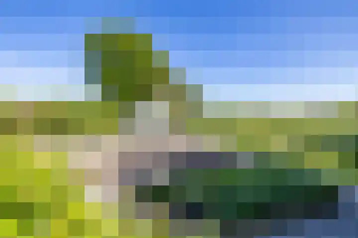 Kerkweg 5 Yde thumbnail 15