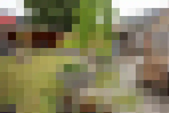 Kerkweg 52 Ede thumbnail 36