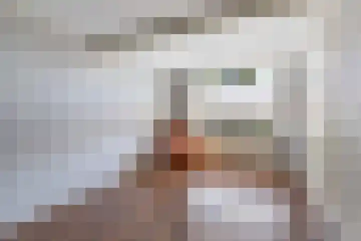 Kerkweg 52 Wezep thumbnail 25