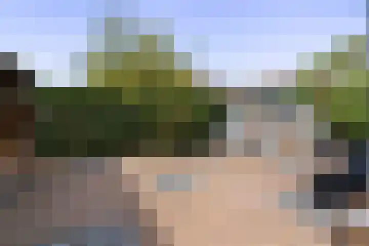 Kerkweg 52 Wezep thumbnail 44