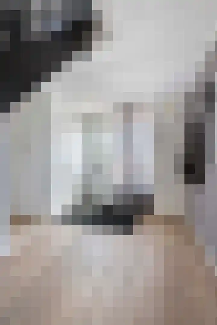 Kerkweg 52 Wezep thumbnail 8
