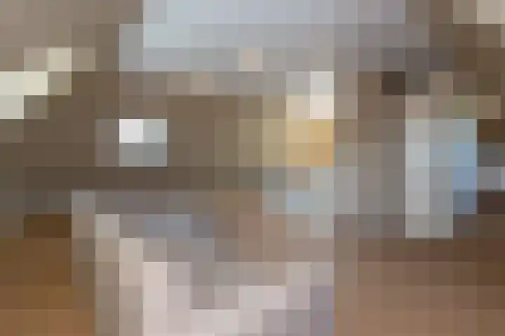 Kerkweg 60 Puth thumbnail 39