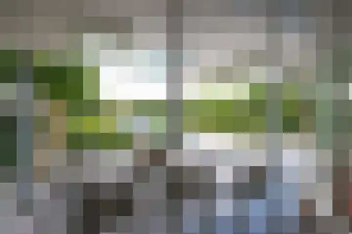 Kerkweg 60 Puth thumbnail 46
