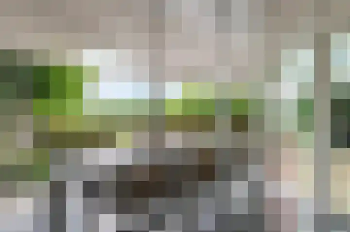 Kerkweg 60 Puth thumbnail 47