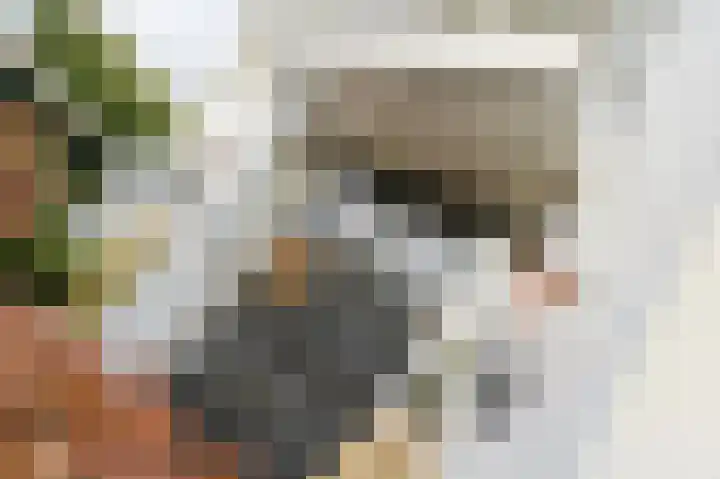 Kerkweg 60 Puth thumbnail 5