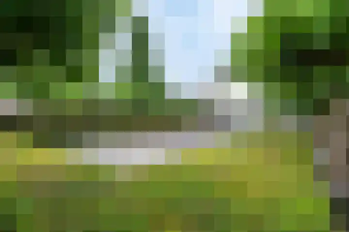 Kerkweg 60 Puth thumbnail 50