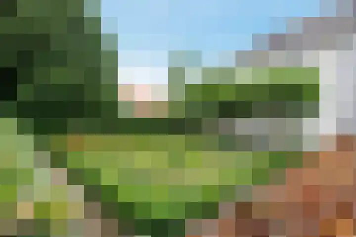 Kerkweg 60 Puth thumbnail 67