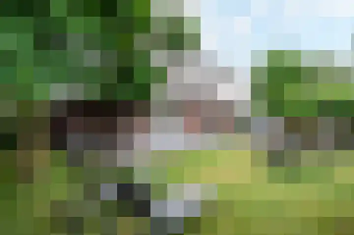Kerkweg 60 Puth thumbnail 69