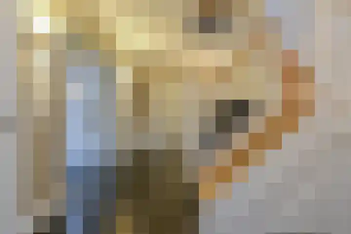Kerkweg 60 Puth thumbnail 8