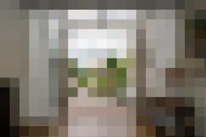 Kerkweg 76 Berkenwoude thumbnail 12