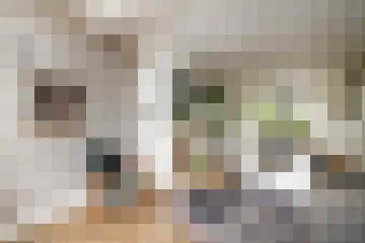 Kerkweg 76 Berkenwoude thumbnail 13