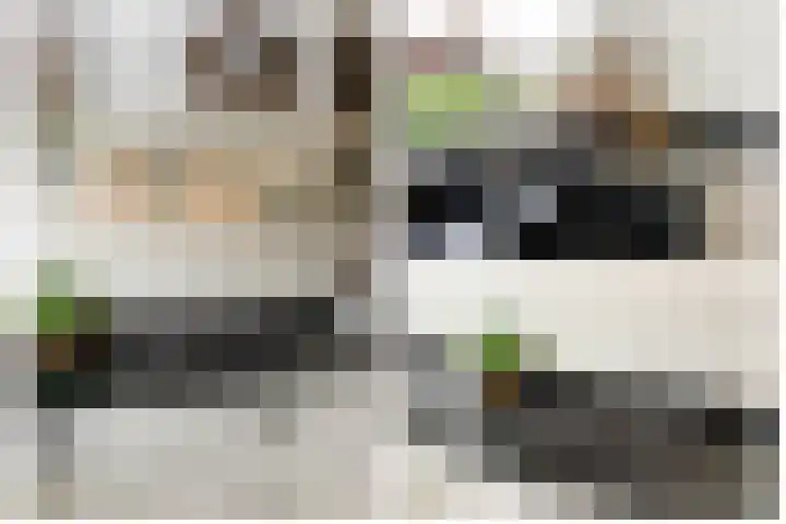 Kerkweg 76 Berkenwoude thumbnail 18