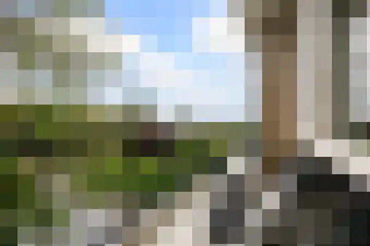 Kerkweg 76 Berkenwoude thumbnail 24