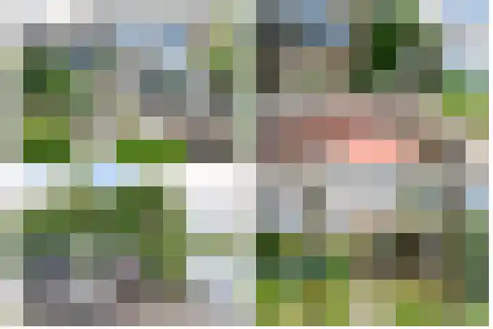 Kerkweg 76 Berkenwoude thumbnail 41