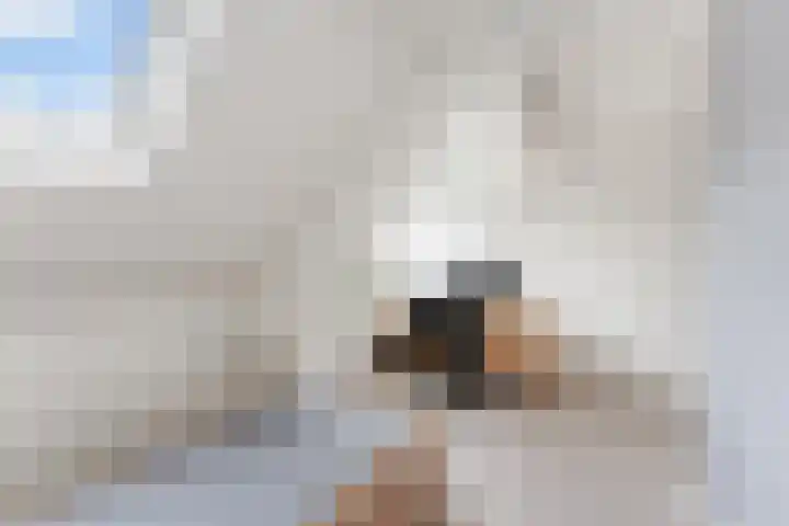 Kerkweg 78 Ridderkerk thumbnail 23