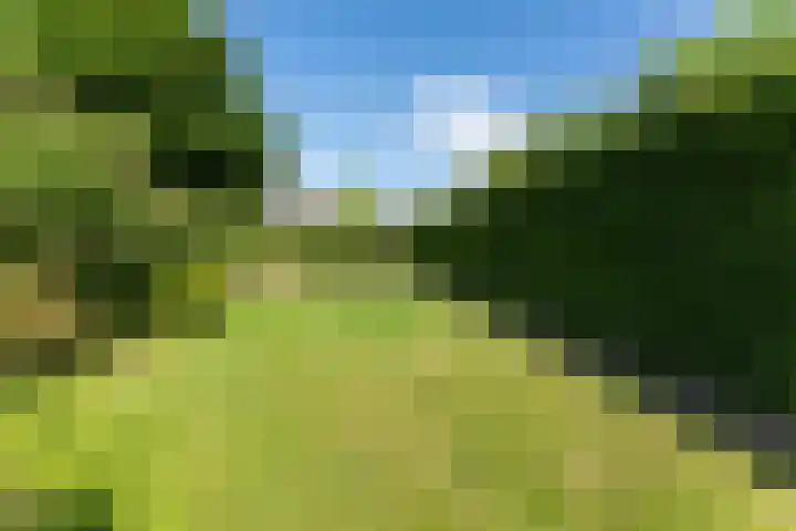 Kerkweg 78 Ridderkerk thumbnail 39