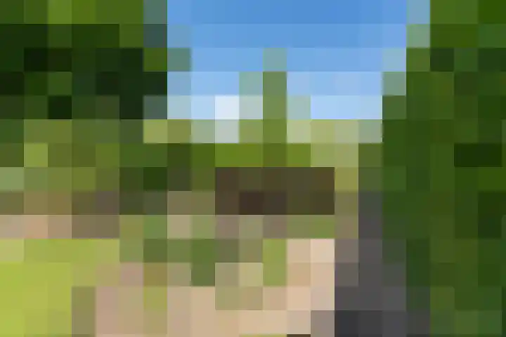 Kerkweg 78 Ridderkerk thumbnail 40