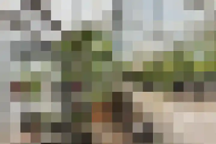 Kerkweg 78 Ridderkerk thumbnail 42