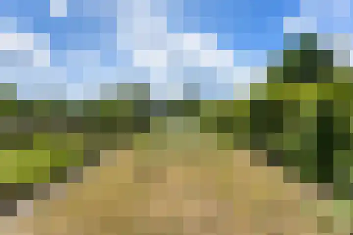Kerkweg 78 Ridderkerk thumbnail 46