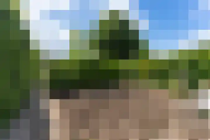 Kerkweg 78 Ridderkerk thumbnail 49