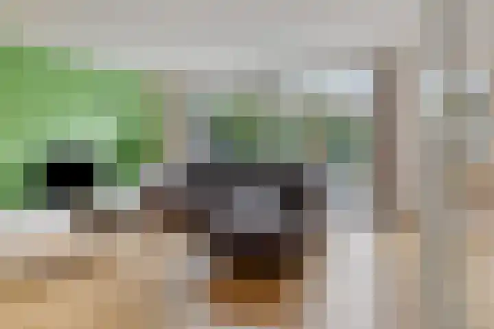 Kerkwijk 48 Berlicum thumbnail 10