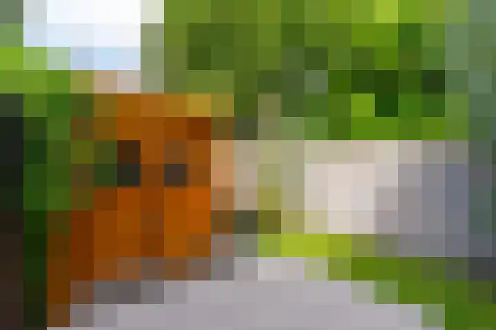 Kerkwijk 48 Berlicum thumbnail 11