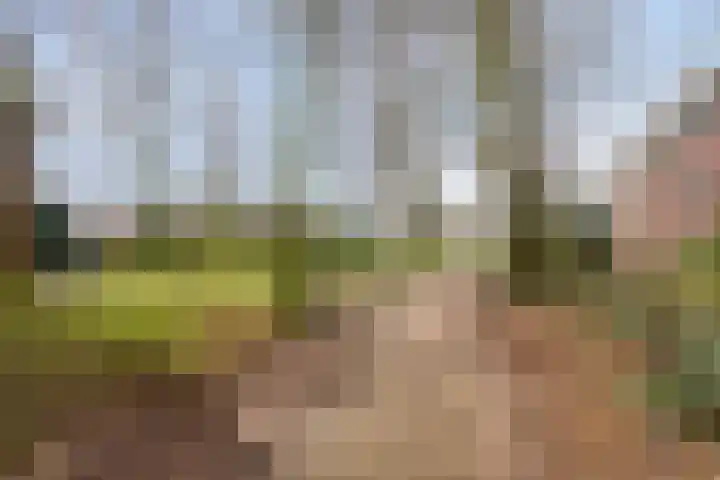 Kerkwijk 48 Berlicum thumbnail 31