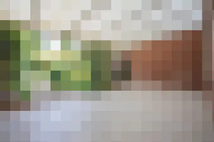 Kerkwijk 48 Berlicum thumbnail 4