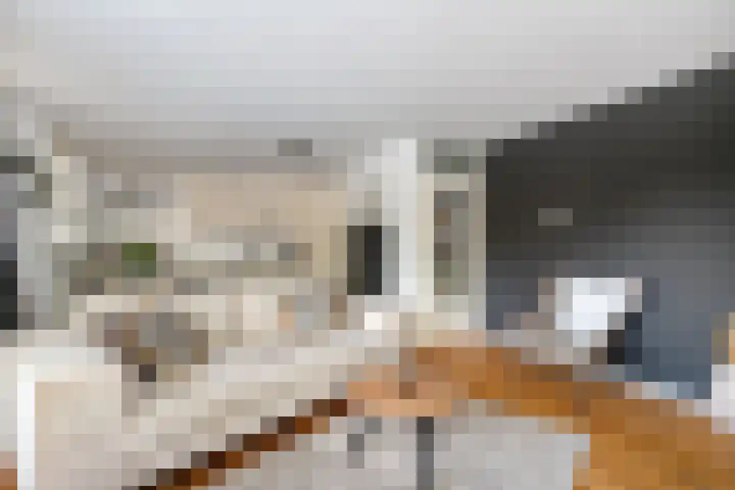 Kermispad 2 Amsterdam thumbnail 12