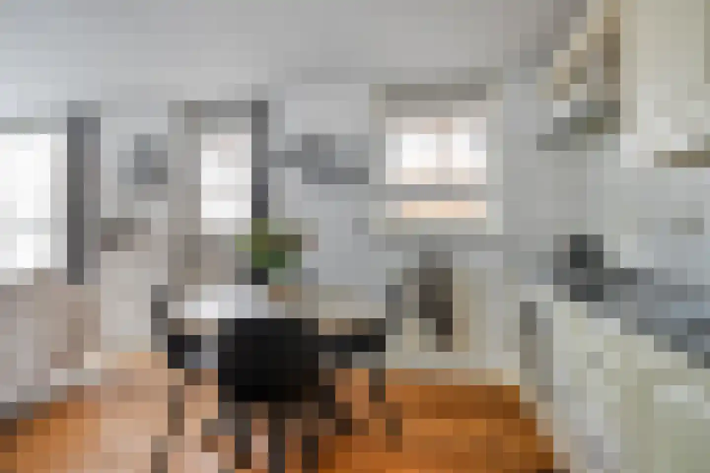 Kermispad 2 Amsterdam thumbnail 14