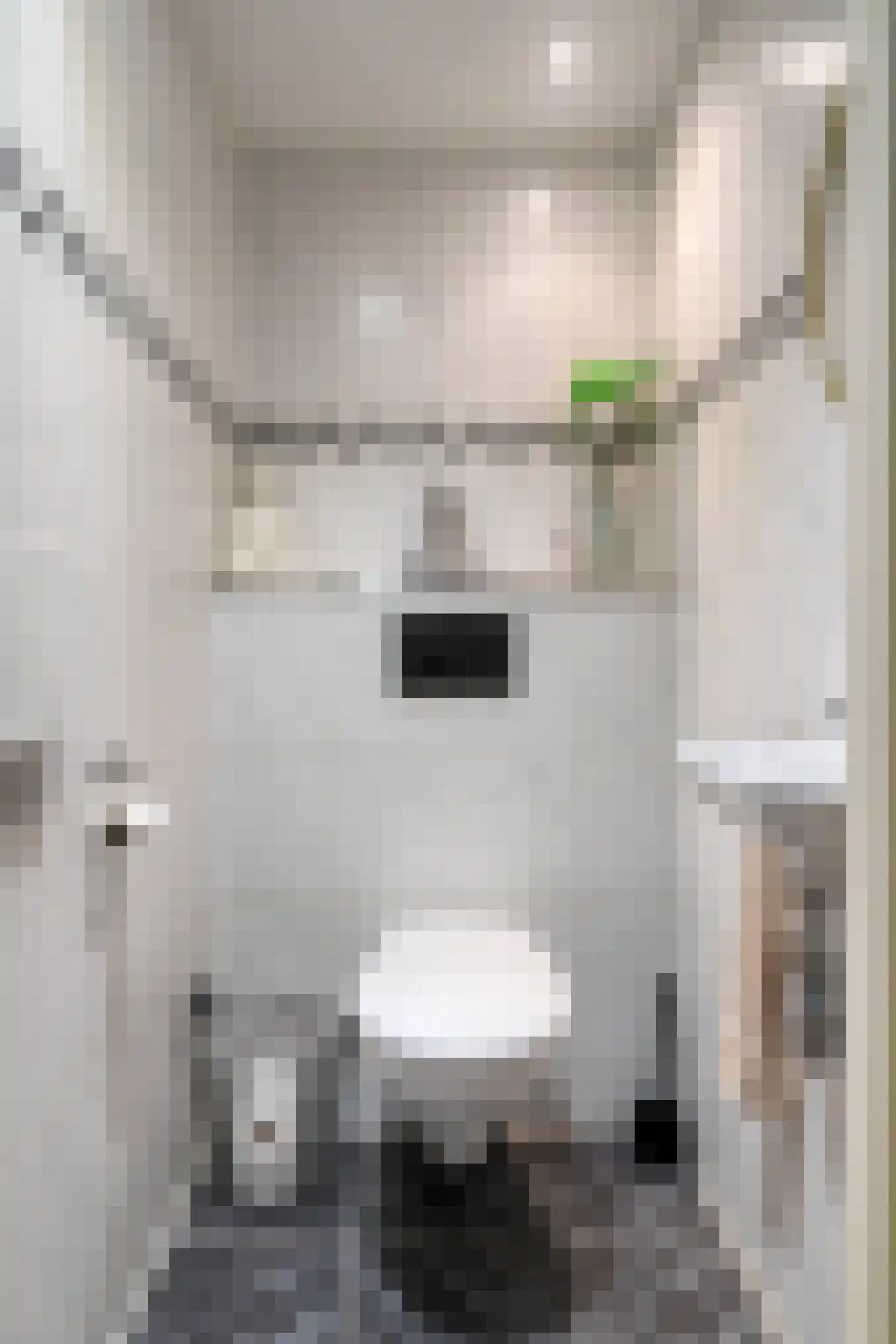 Kermispad 2 Amsterdam thumbnail 17