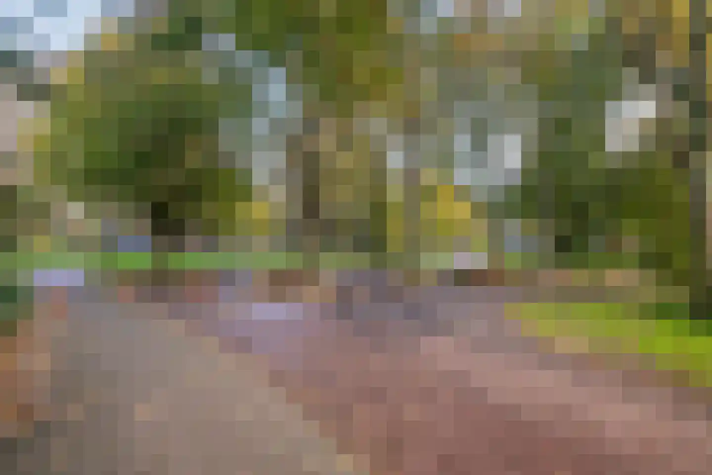 Kermispad 2 Amsterdam thumbnail 36
