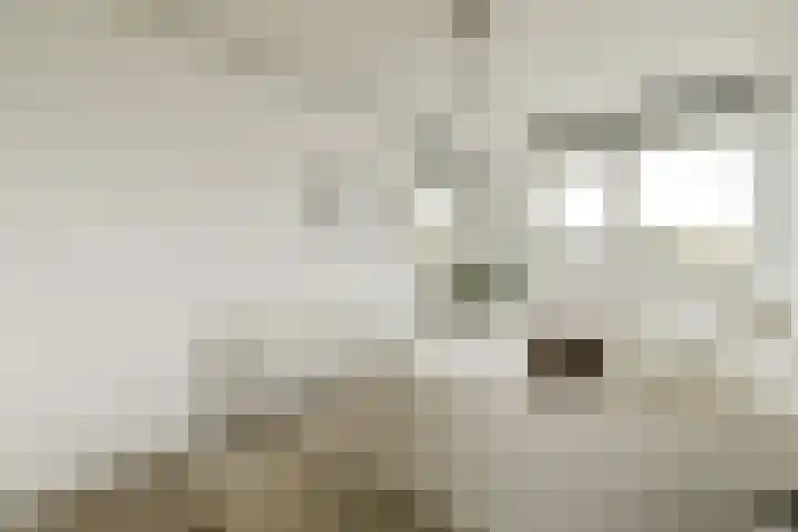 Kermispad 51 Amsterdam thumbnail 16